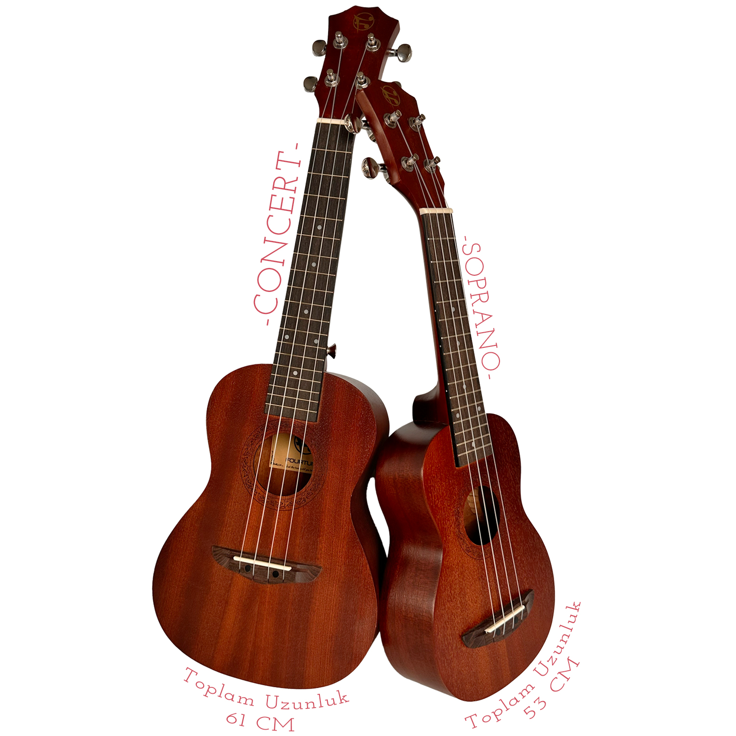 İki kahverengi ukulele yan yana duruyor, biri diğerinden daha büyük.