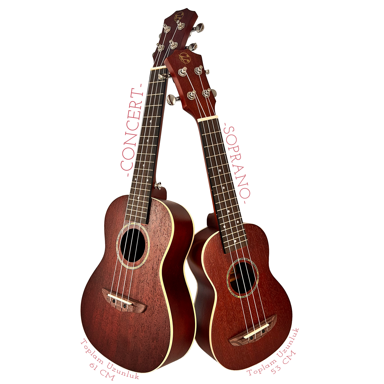 İki kahverengi ukulele, biri konser, biri soprano.