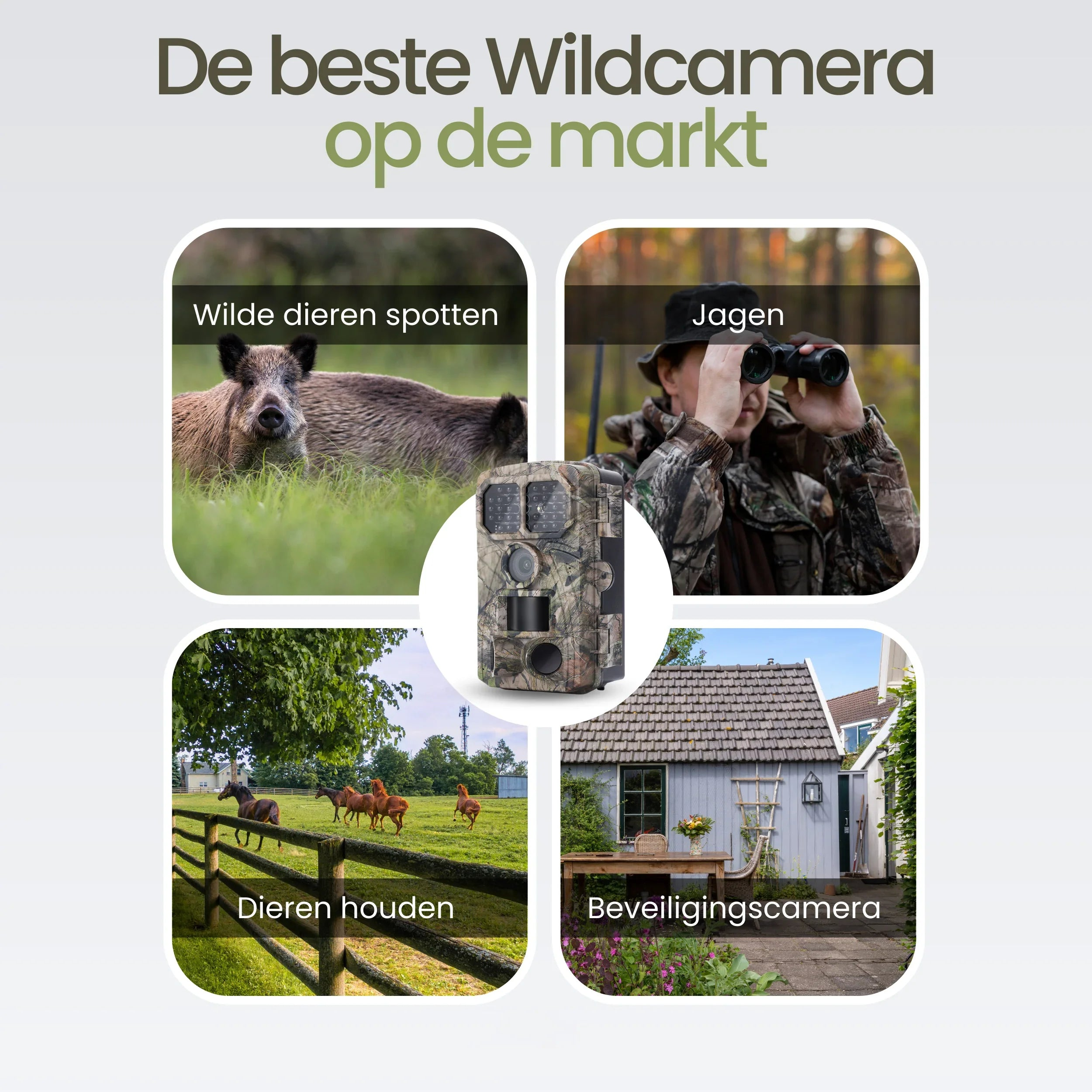 Trail camera with four images: wild boar, hunter, horses, house.