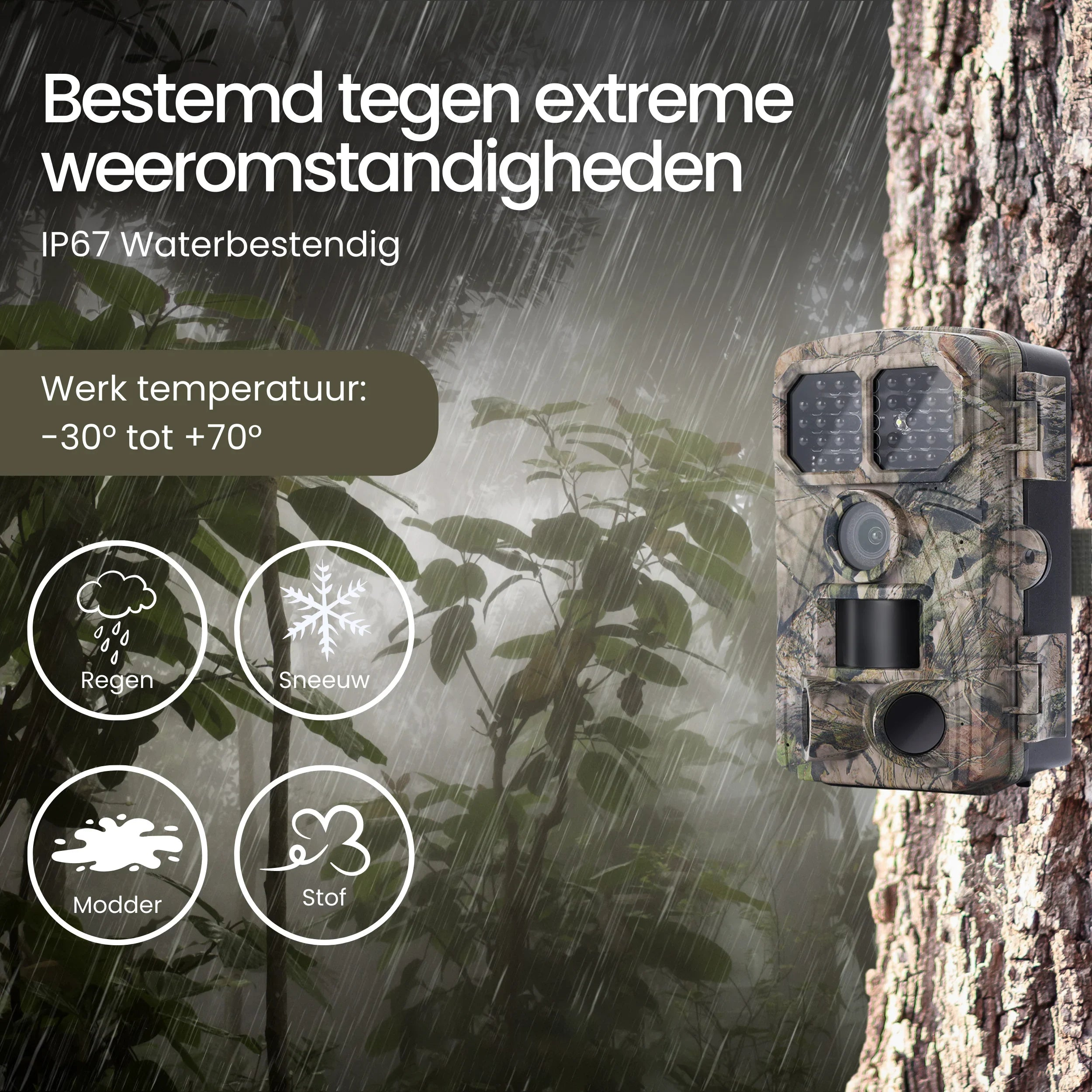Camouflage camera on tree trunk, withstands rain, snow, dust, mud.