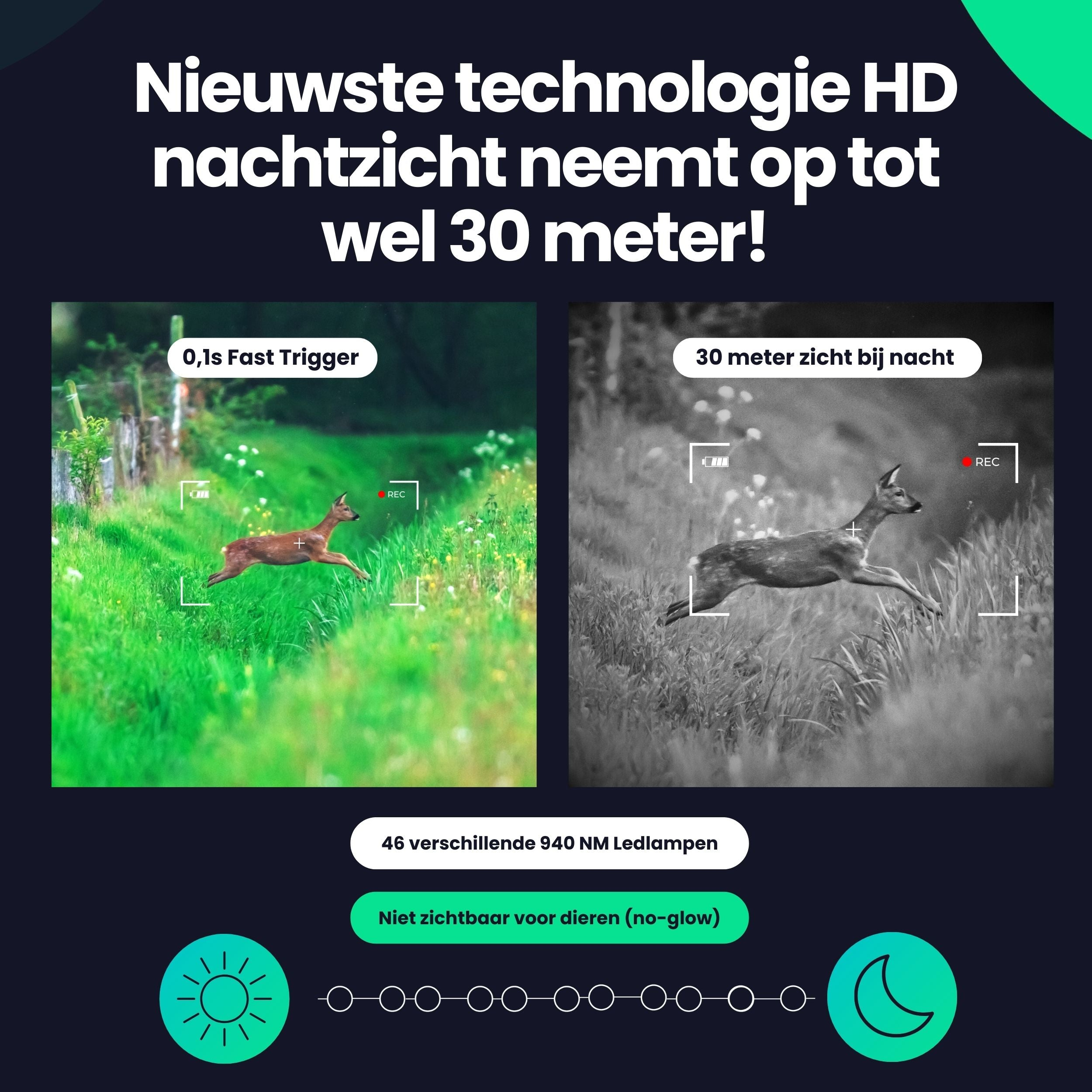Two images show a deer. Left in color, right in black and white.