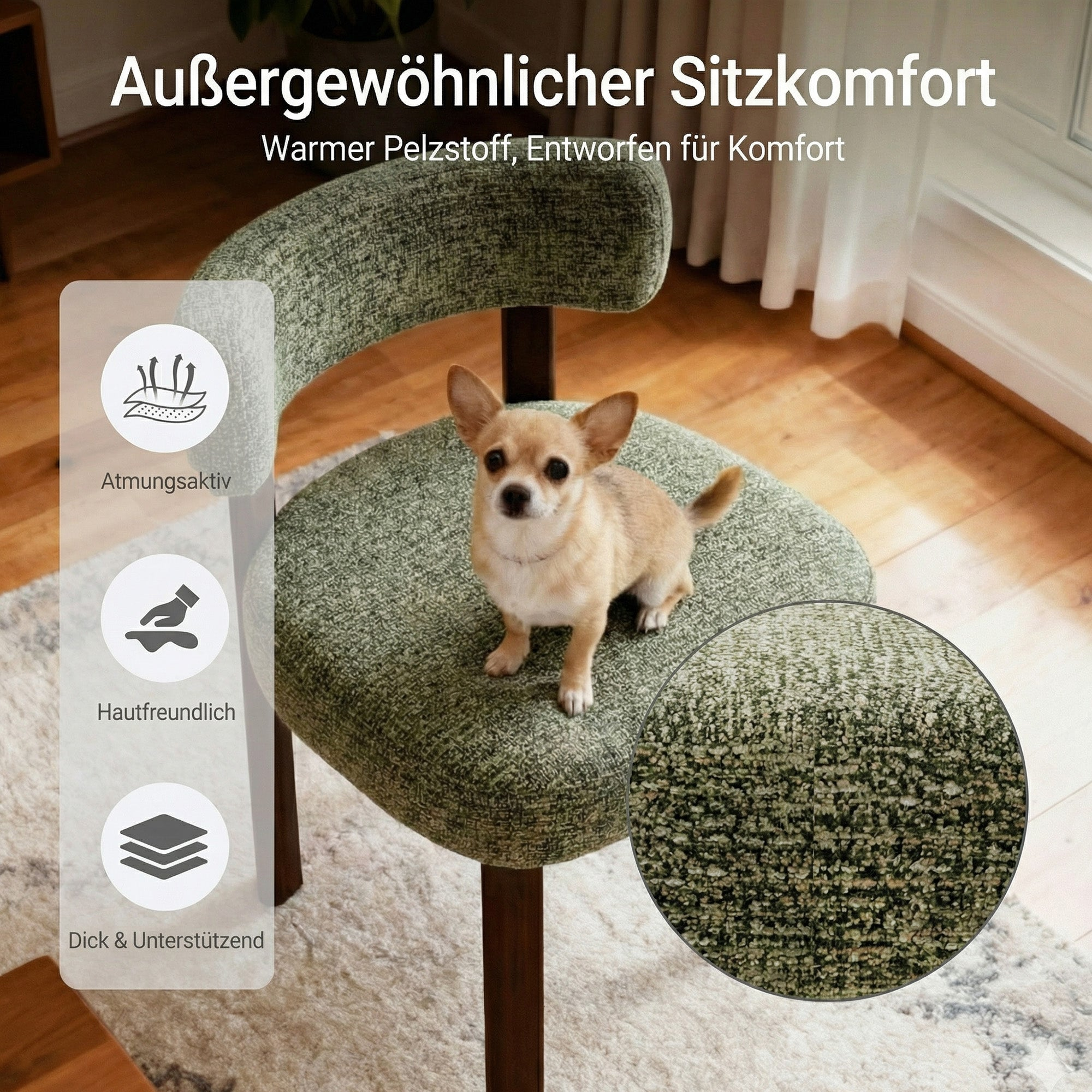 Ein Chihuahua sitzt auf einem grün gemusterten Stuhl neben Icons für Atmungsaktivität.