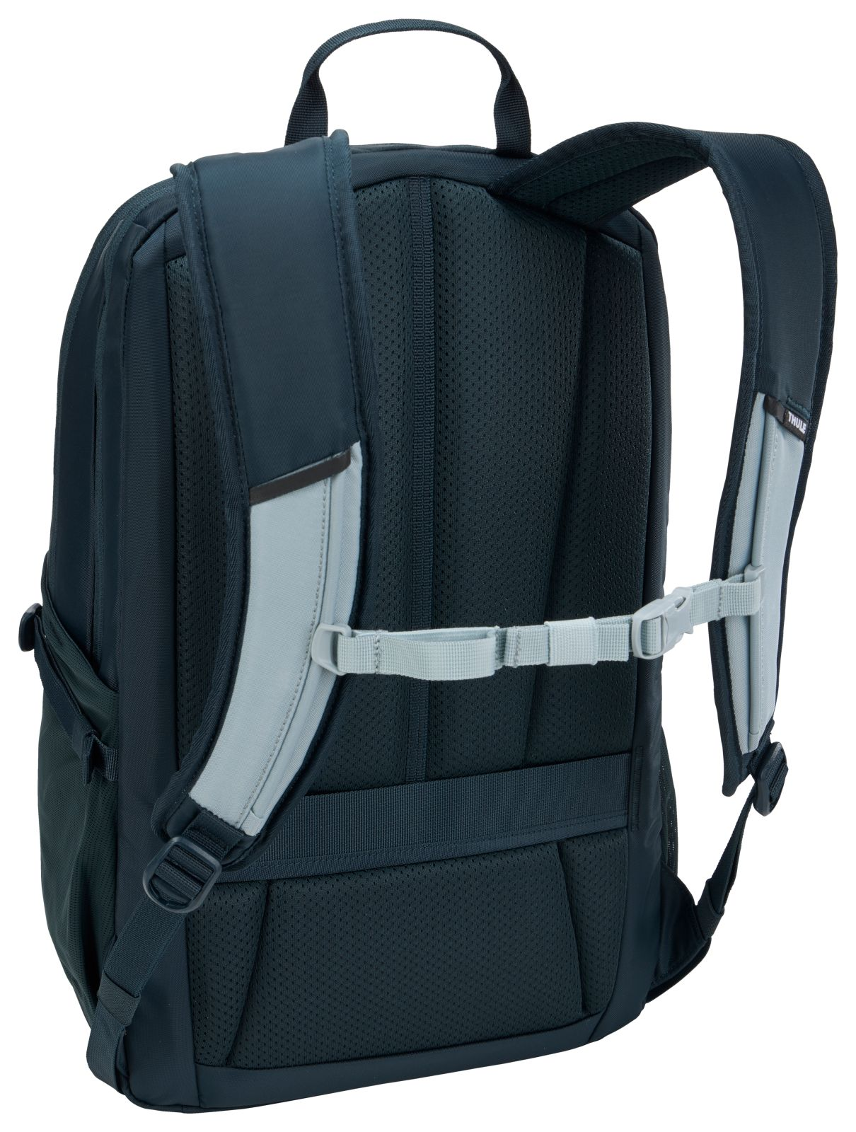Dunkelblauer Rucksack von hinten mit gepolsterten Trägern und Brustgurt.