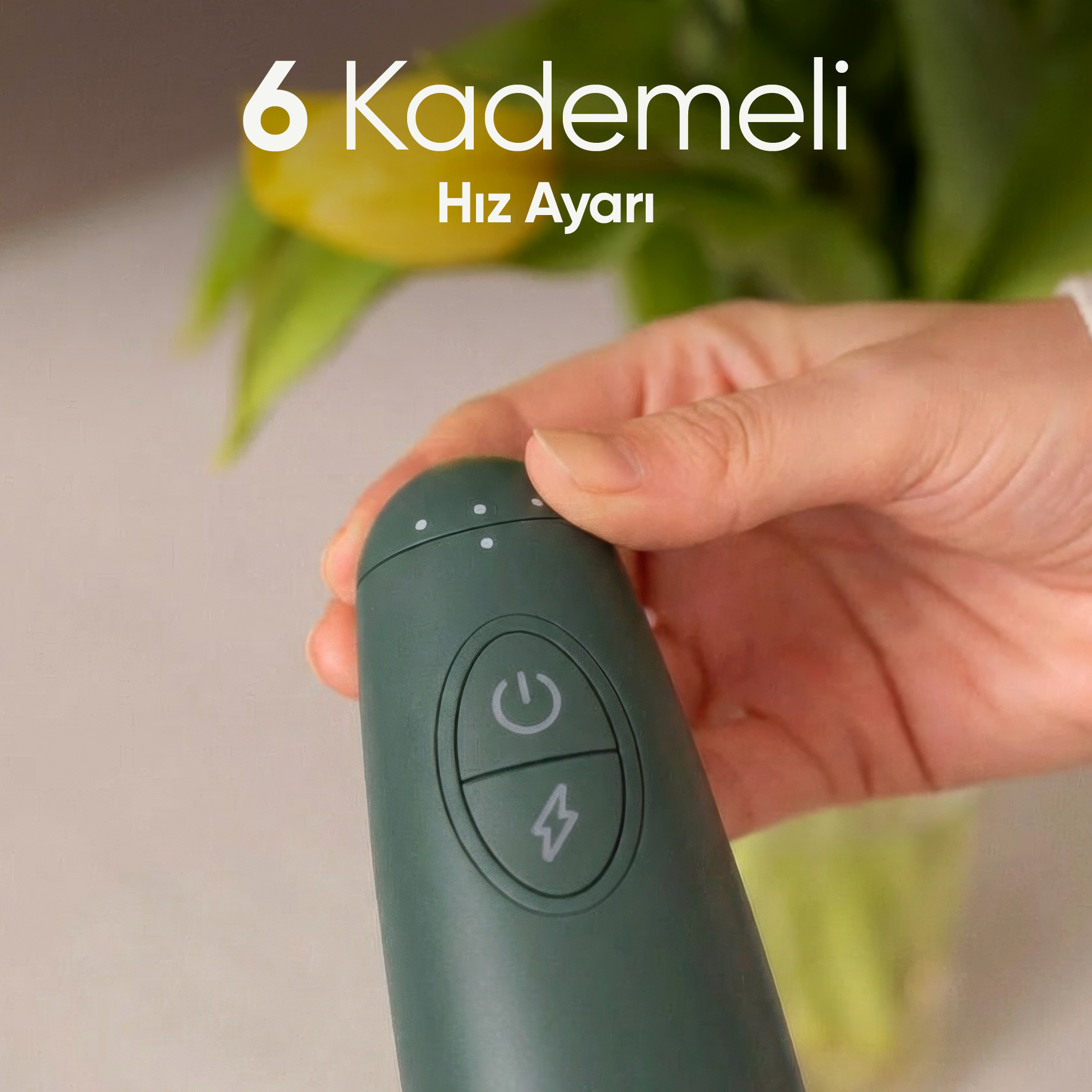Güç ve şimşek simgeli yeşil sap. Arkada laleler.