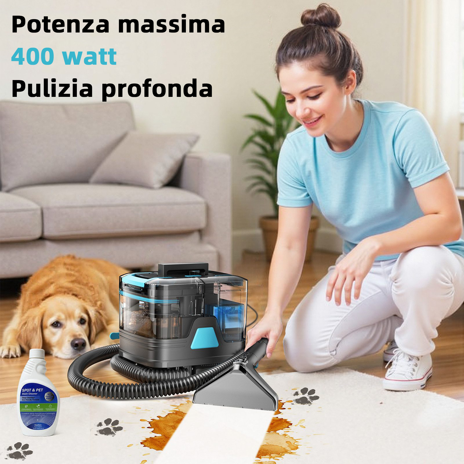 Donna pulisce tappeto con smacchiatore, cane vicino.