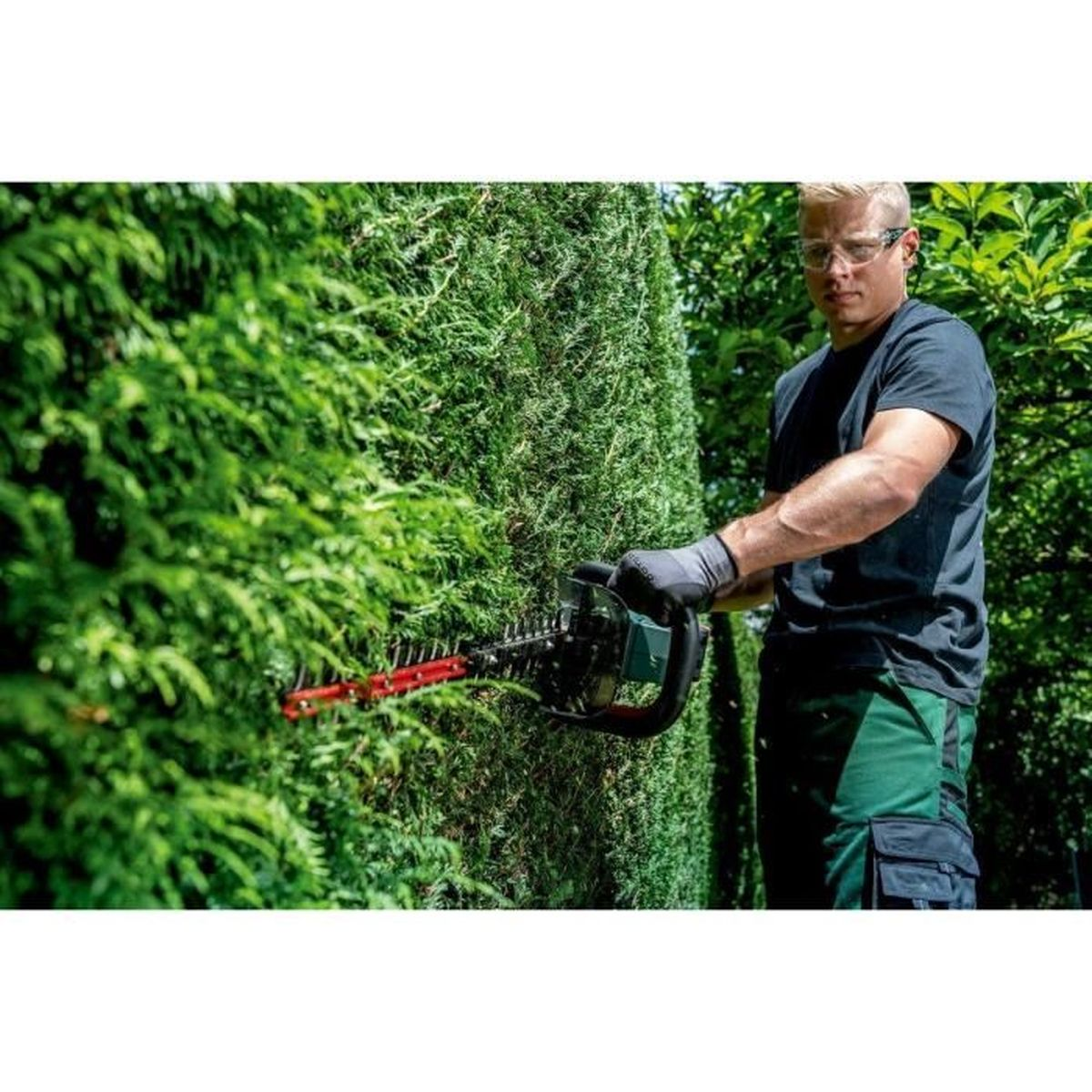 Mann trimmt Hecke mit Heckenschere, trägt Schutzbrille und Handschuhe.