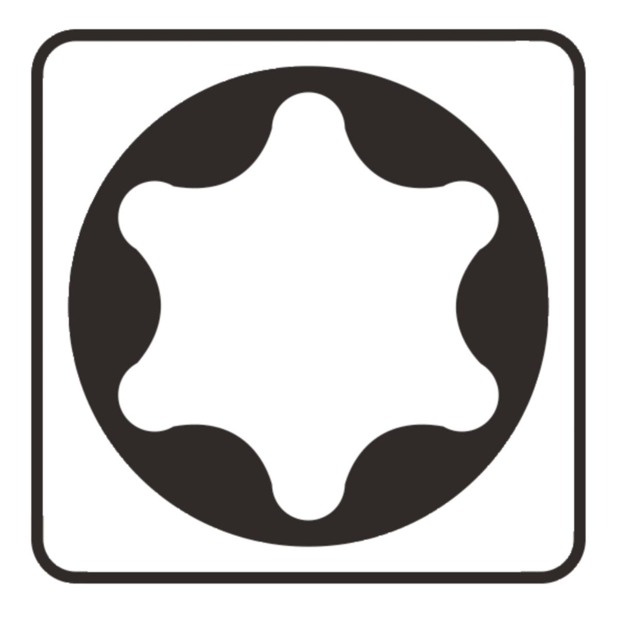 Ein schwarzes Torx-Symbol auf weißem Hintergrund mit einem Kreis und sechs Zacken.