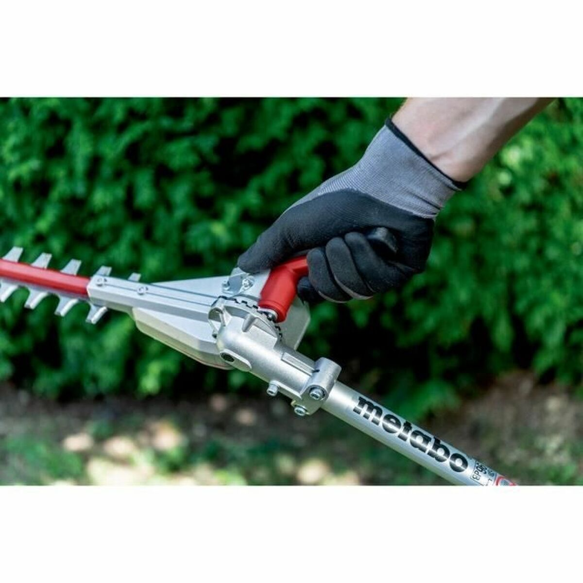 Eine Hand in einem grauen Handschuh hält einen Heckenschneider vor einem grünen Busch.