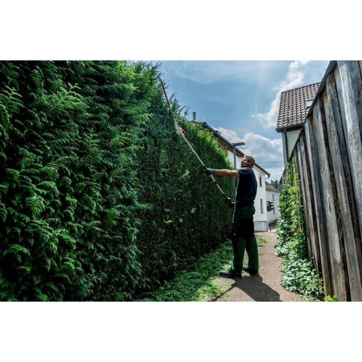 Mann schneidet eine hohe grüne Hecke mit einer langen Heckenschere. Häuser und Zaun im Hintergrund.