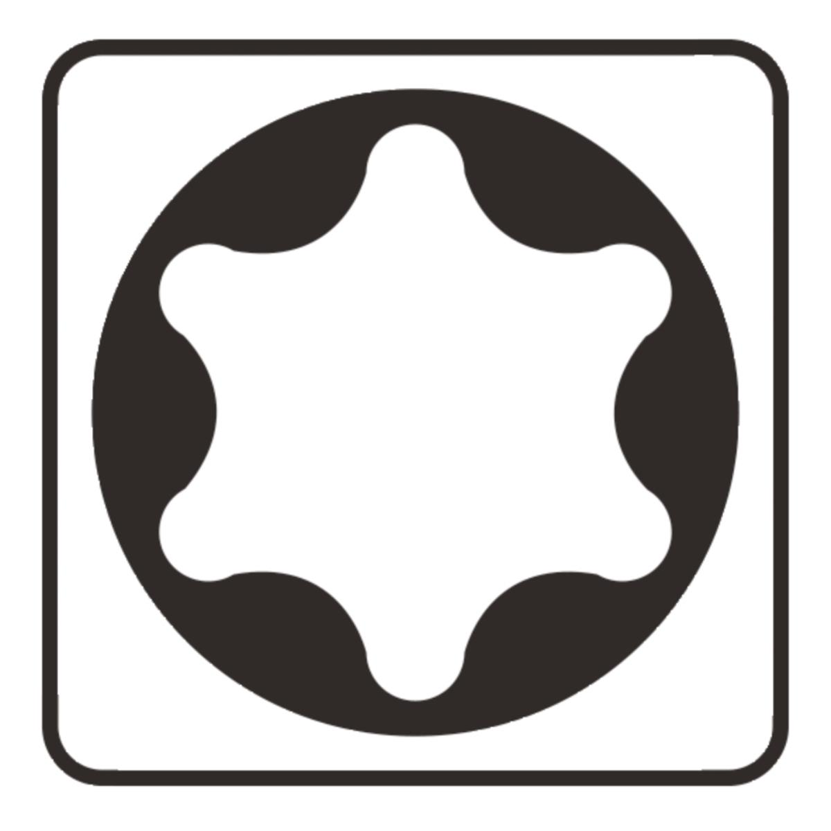 Ein schwarzes Torx-Symbol auf weißem Hintergrund innerhalb eines Rahmens.