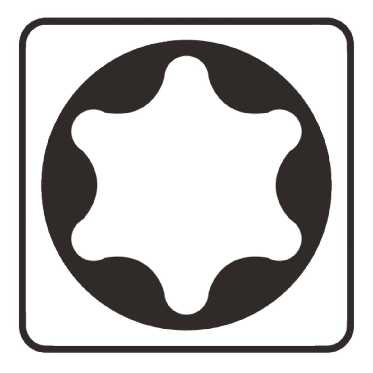 Symbol für Torx-Schraubendreher. Schwarzes Sternmuster in einem Kreis und Quadrat.