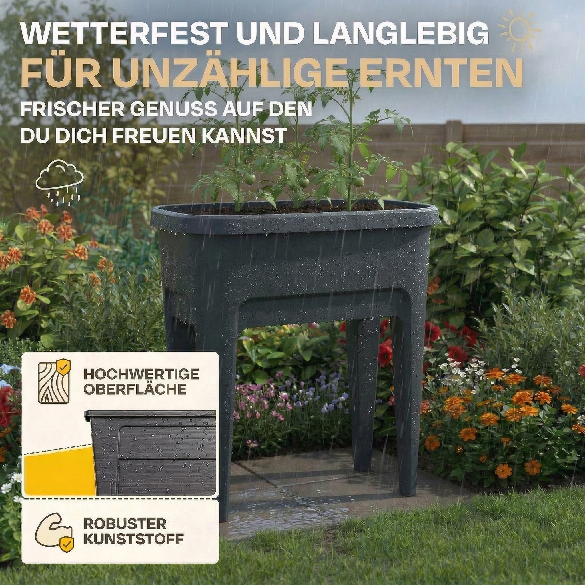Ein Hochbeet mit Tomatenpflanzen bei Regen. "Hochwertige Oberfläche" und "Robuster Kunststoff" sind abgebildet.
