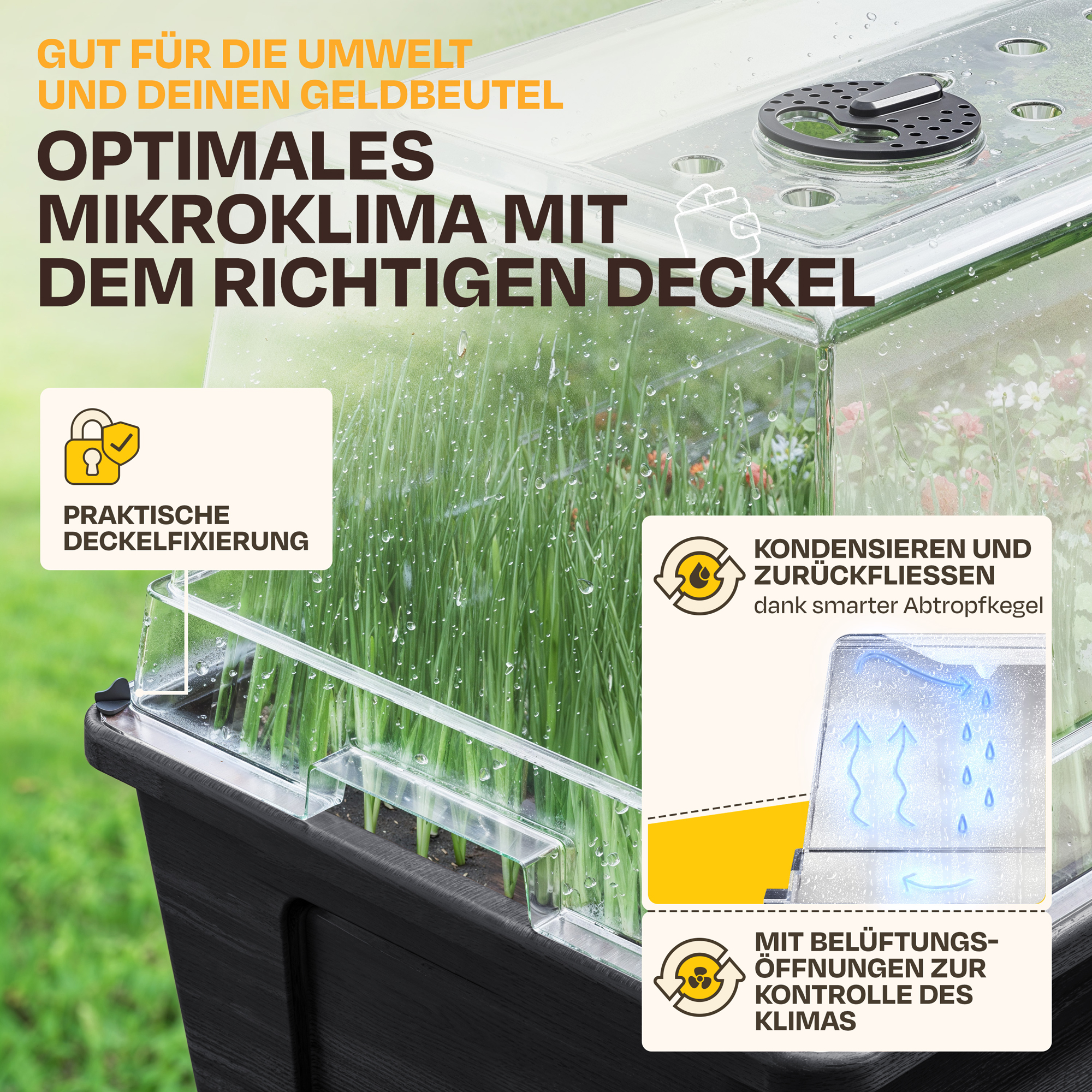 Ein Gewächshaus mit jungen Pflanzen, das gute Mikroklima, praktische Deckelfixierung und Belüftungsöffnungen bietet.