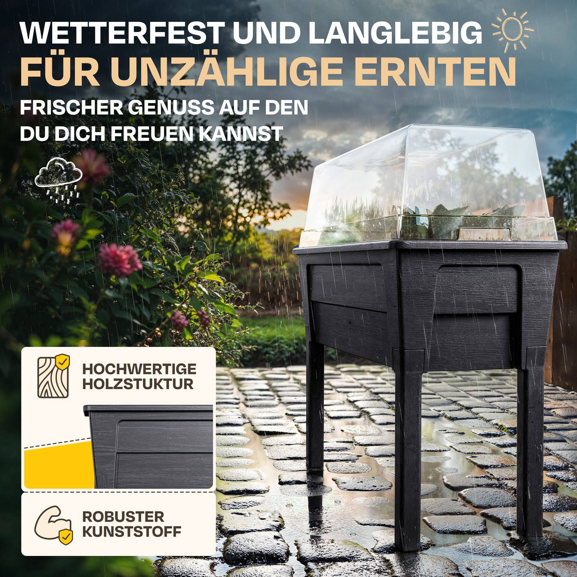 Ein schwarzer Hochbeet mit durchsichtiger Haube bei Regen auf einem gepflasterten Weg.