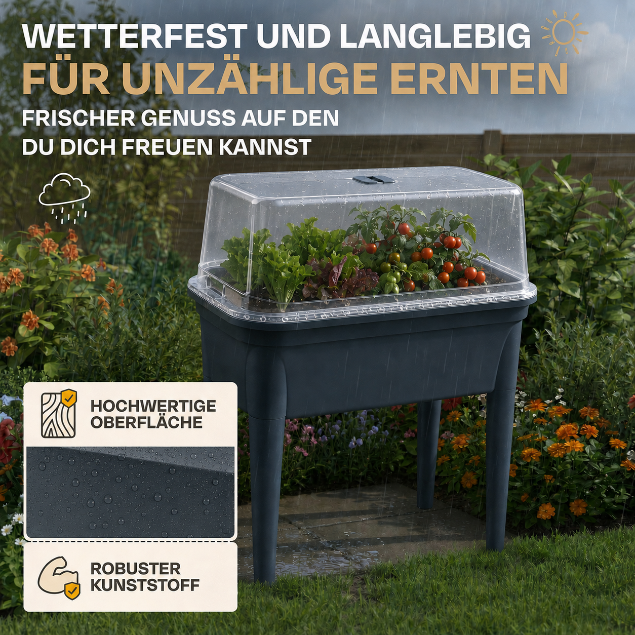 Ein Hochbeet mit Salat und Tomaten unter einer durchsichtigen Abdeckung bei Regen.