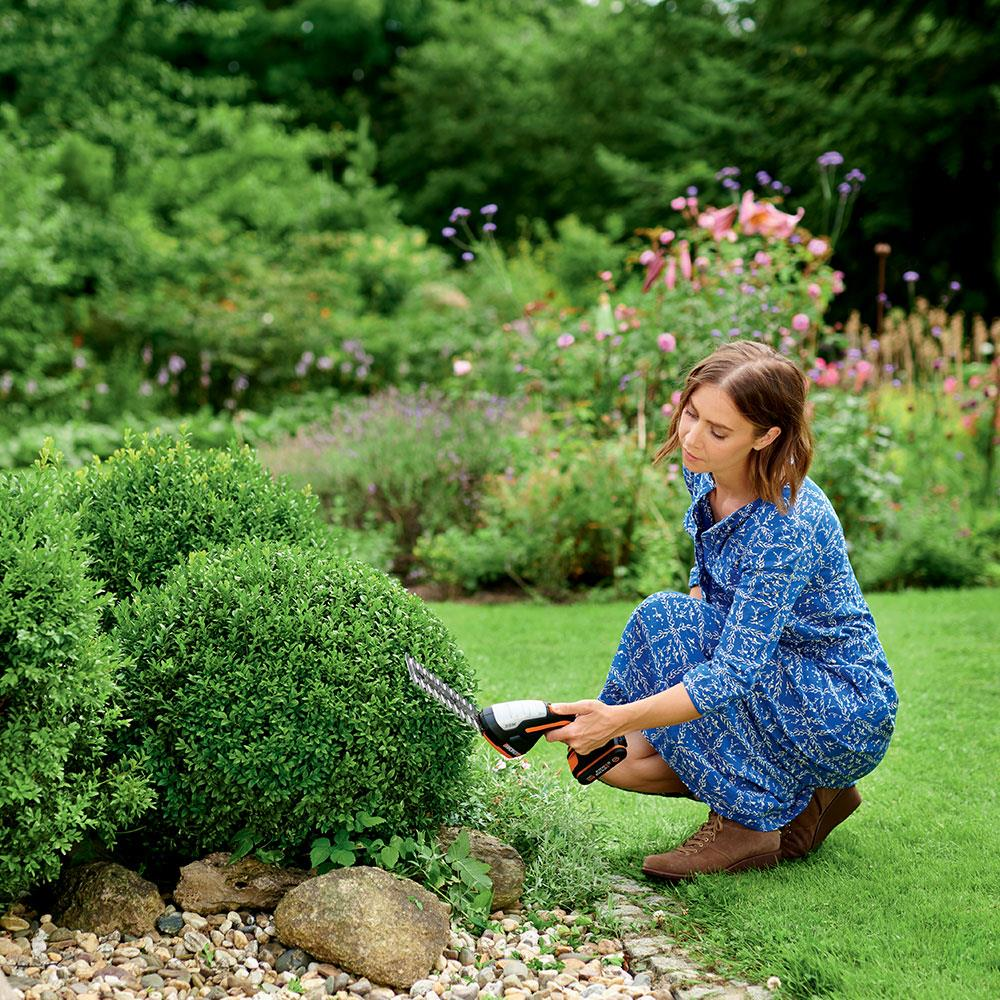 Frau mit blauem Kleid trimmt mit Heckenschere einen Buchsbaum im Garten.