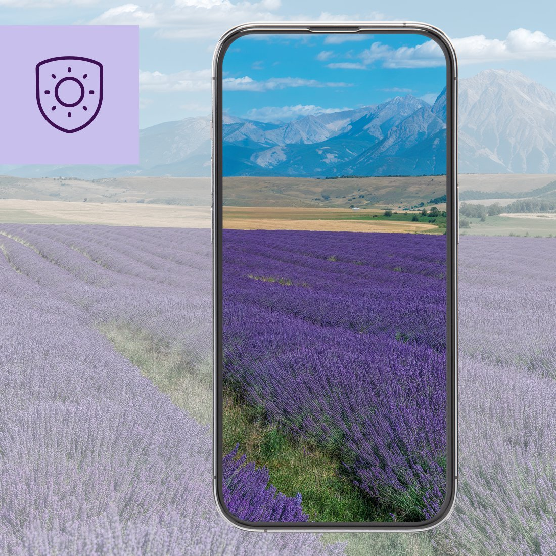 Campi di lavanda sotto un cielo blu con montagne sullo sfondo, icona a sinistra.