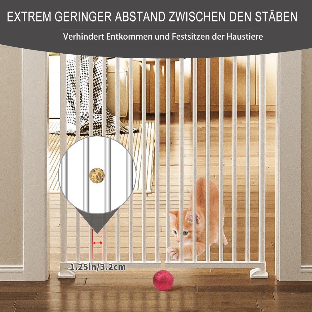 Ein Kätzchen spielt hinter einem weißen Gitter. Ein Münzdetail ist zu sehen.
