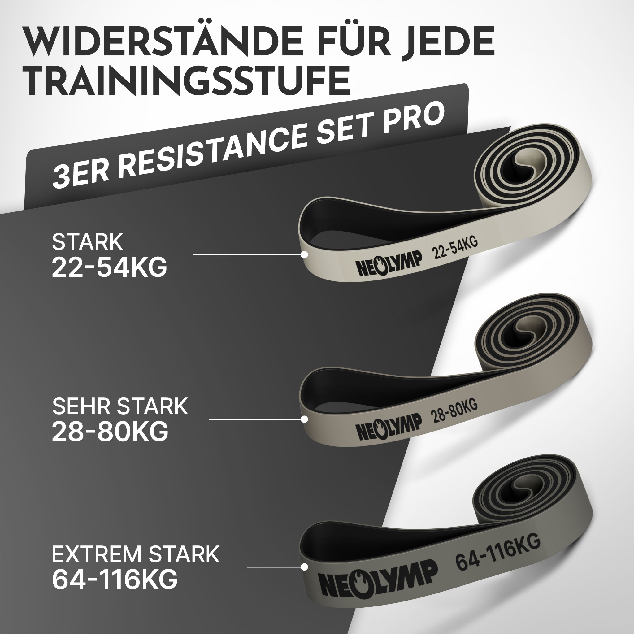 Drei graue Widerstandsbänder mit schwarzen Ringen und Gewichtsangaben.