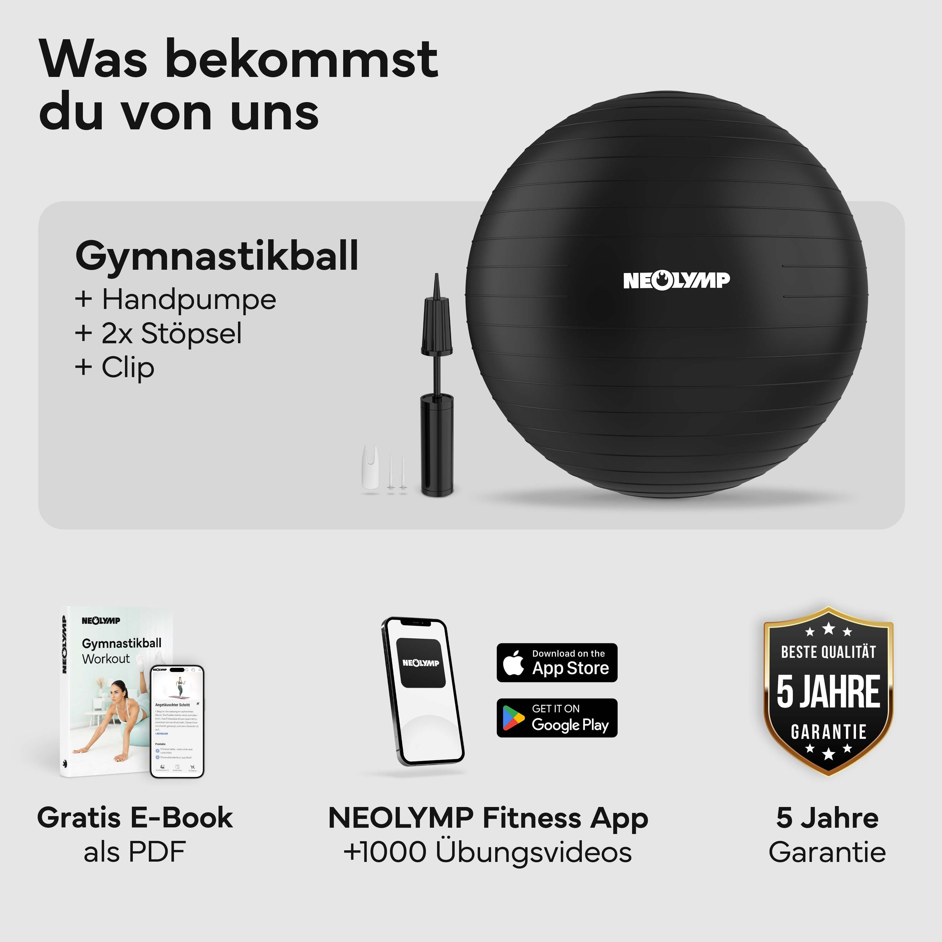 Ein schwarzer Gymnastikball mit Pumpe, E-Book, App und 5 Jahren Garantie.