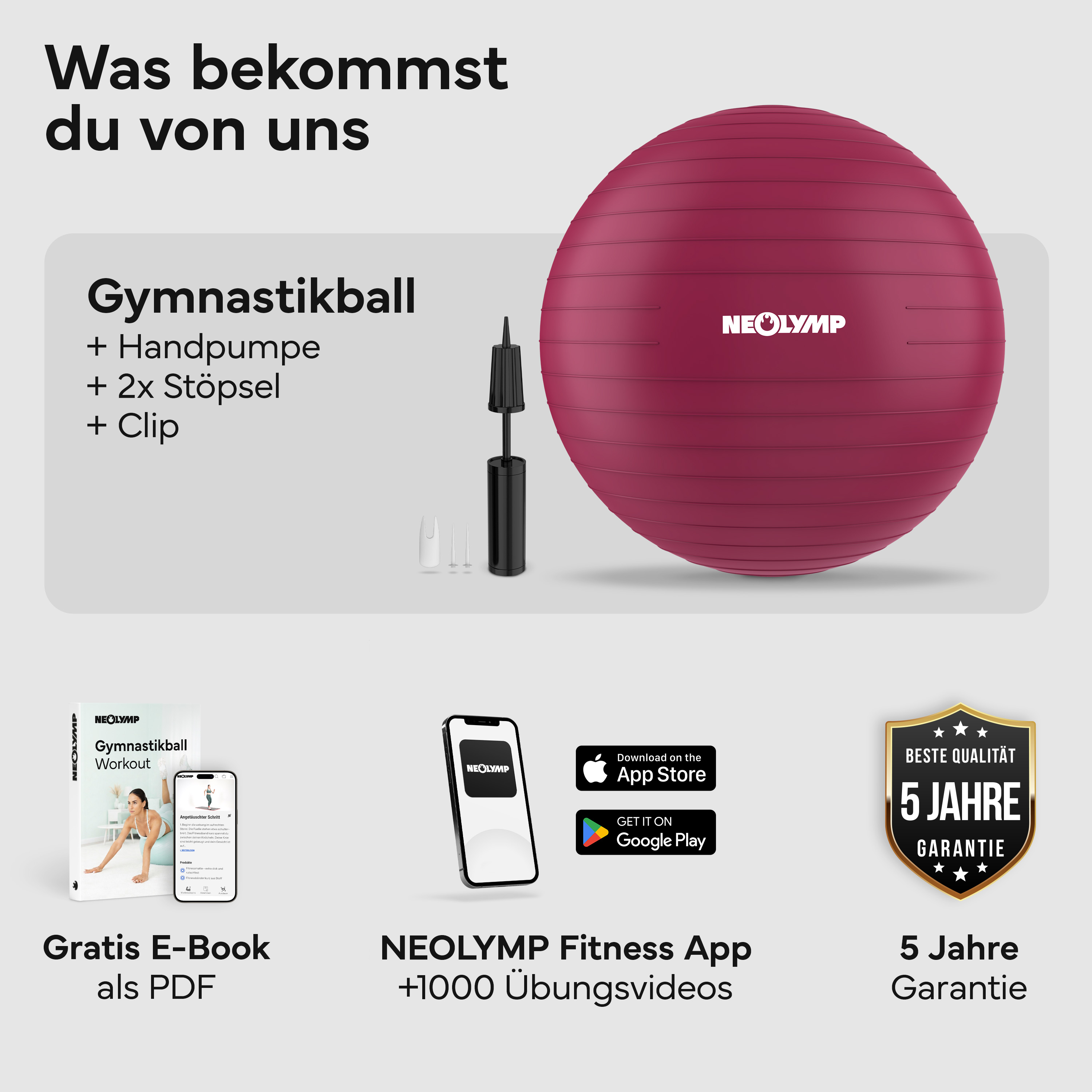 Gymnastikball mit Pumpe, E-Book, App und 5 Jahre Garantie.