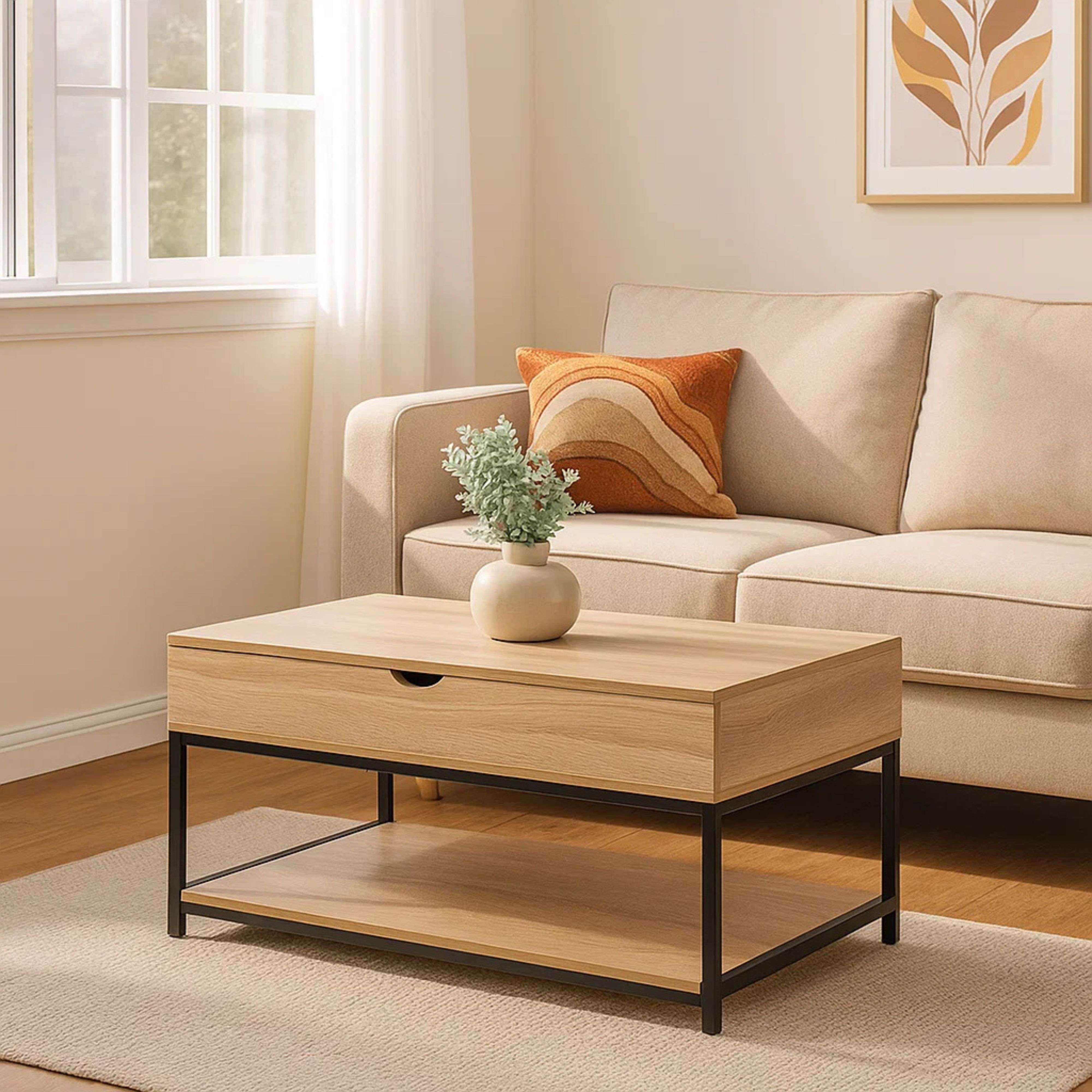 Mesa de centro de madera con marco de metal negro, jarrón con planta.