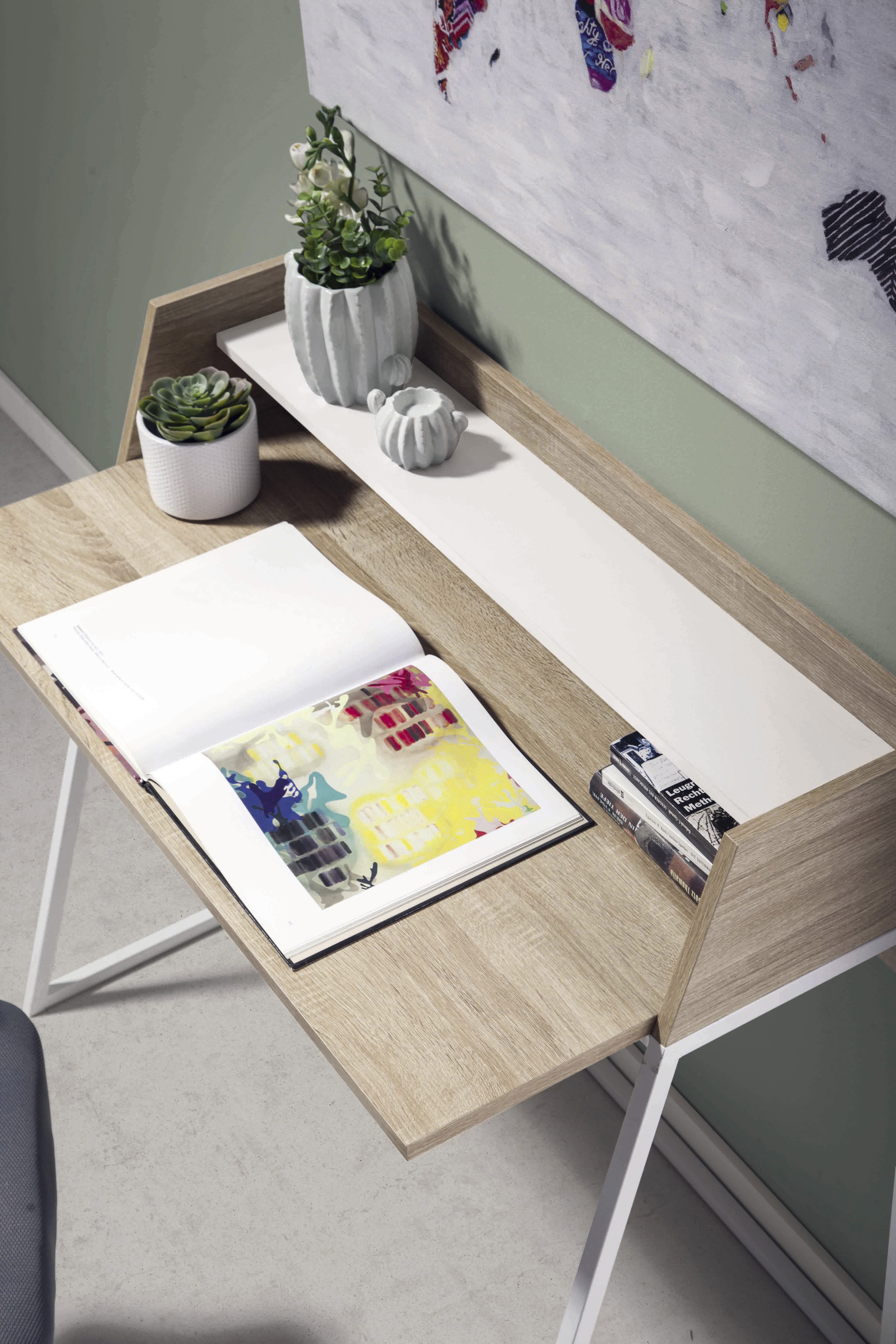 Un escritorio de madera con plantas, libros y una carpeta de arte abierta.