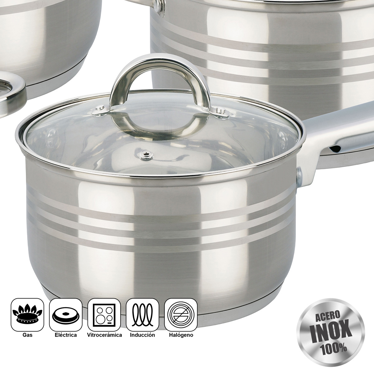 Olla de acero inoxidable brillante con tapa de cristal y asa. Iconos muestran gas, eléctrica, cerámica, inducción.