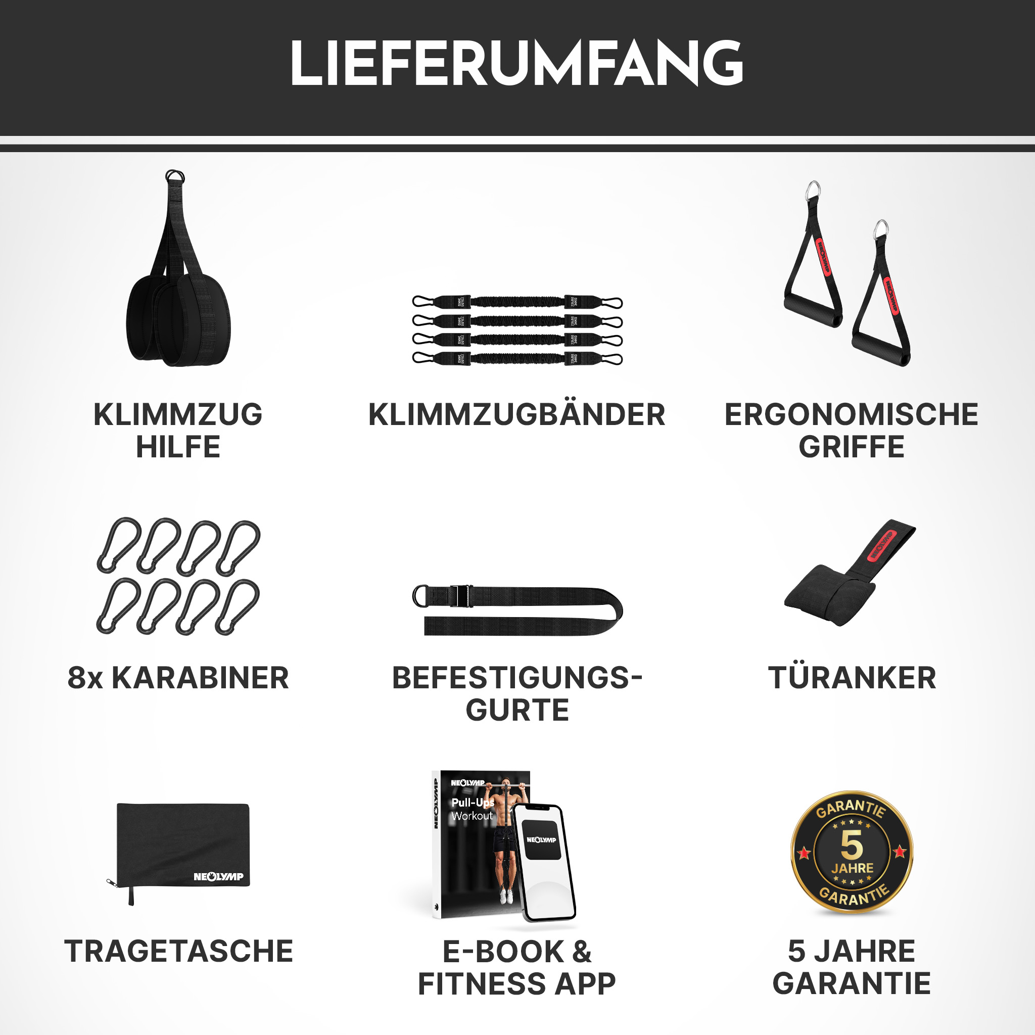 Collage aus Fitnessgeräten: Klimmzug-Hilfe, Bänder, Griffe, Karabiner, Gurt, Türanker, Tasche, E-Book, App, Garantie.