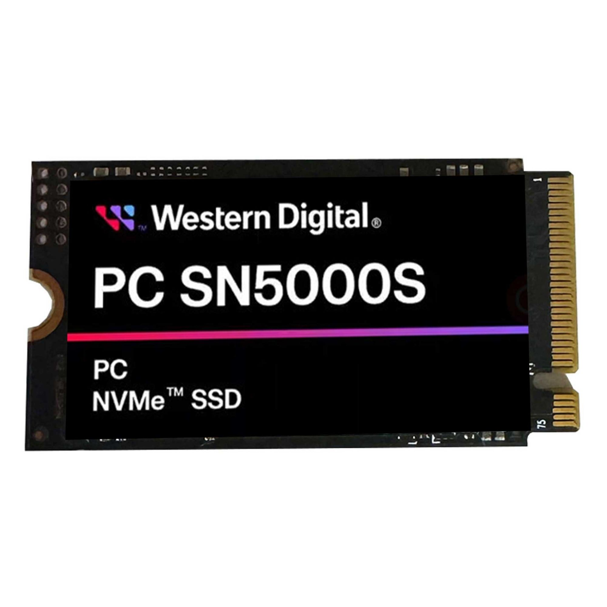 Altın konektörlü ve siyah kasalı Western Digital PC SN5000S NVMe SSD.