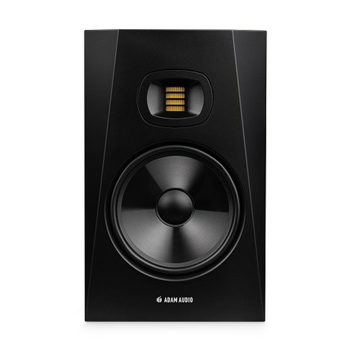 Altoparlante nero con tweeter argentato e woofer nero.