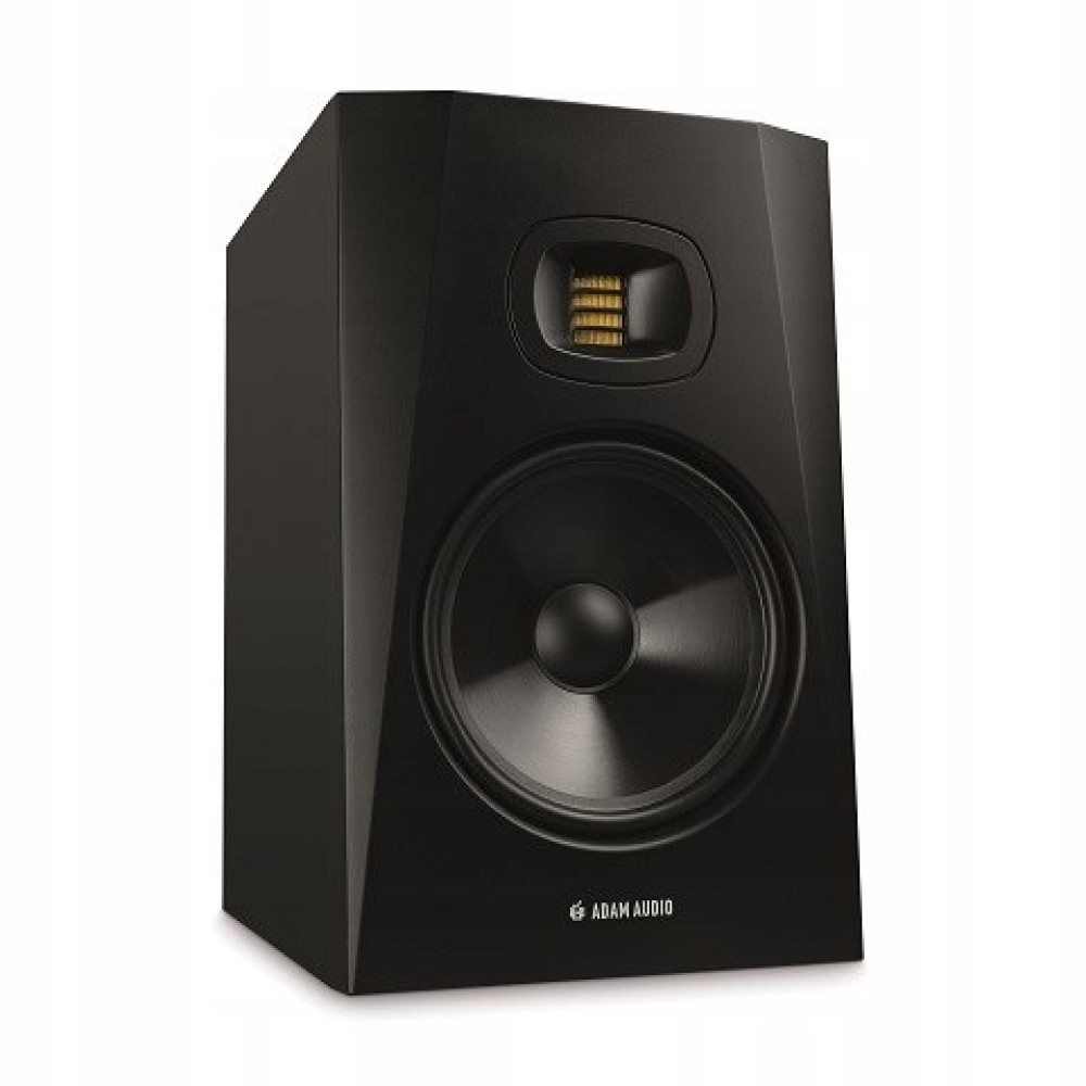 Altoparlante nero con tweeter argentato e woofer nero.