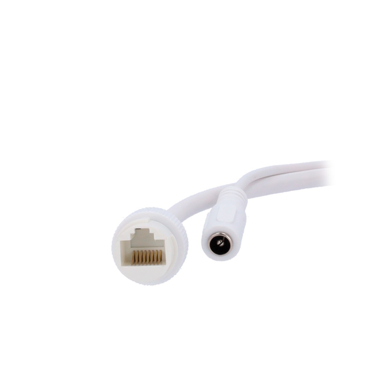 Cavo bianco con connettore RJ45 e jack di alimentazione DC.