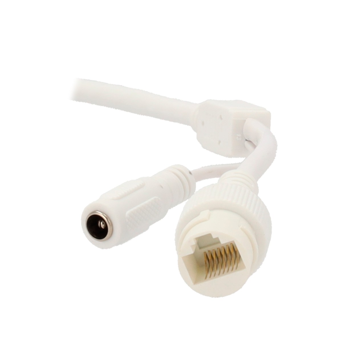 Un cavo bianco con connettore RJ45 e DC, isolato su sfondo bianco.