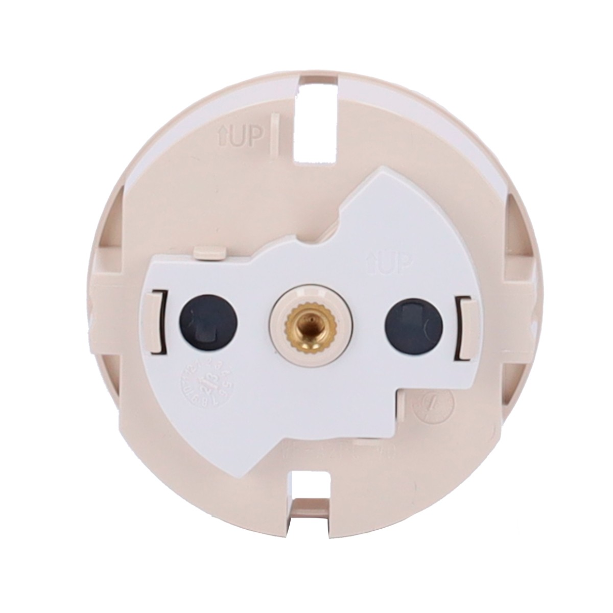 Prese elettriche beige con due fori neri e una vite in ottone al centro.