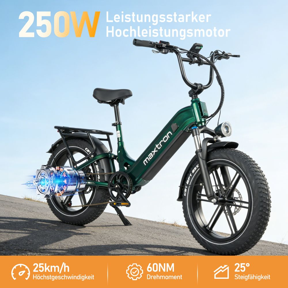 Una e-bike verde con pneumatici larghi e vista del motore. Mostra 250W, 25km/h, 60Nm, 25° di pendenza.