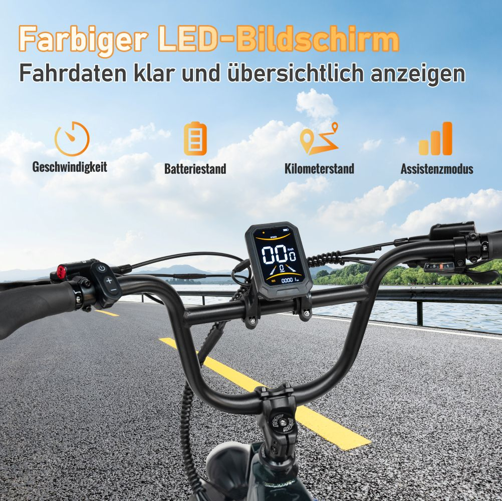 Manubrio di bicicletta con schermo LED che mostra velocità, livello batteria, chilometraggio e modalità di assistenza.