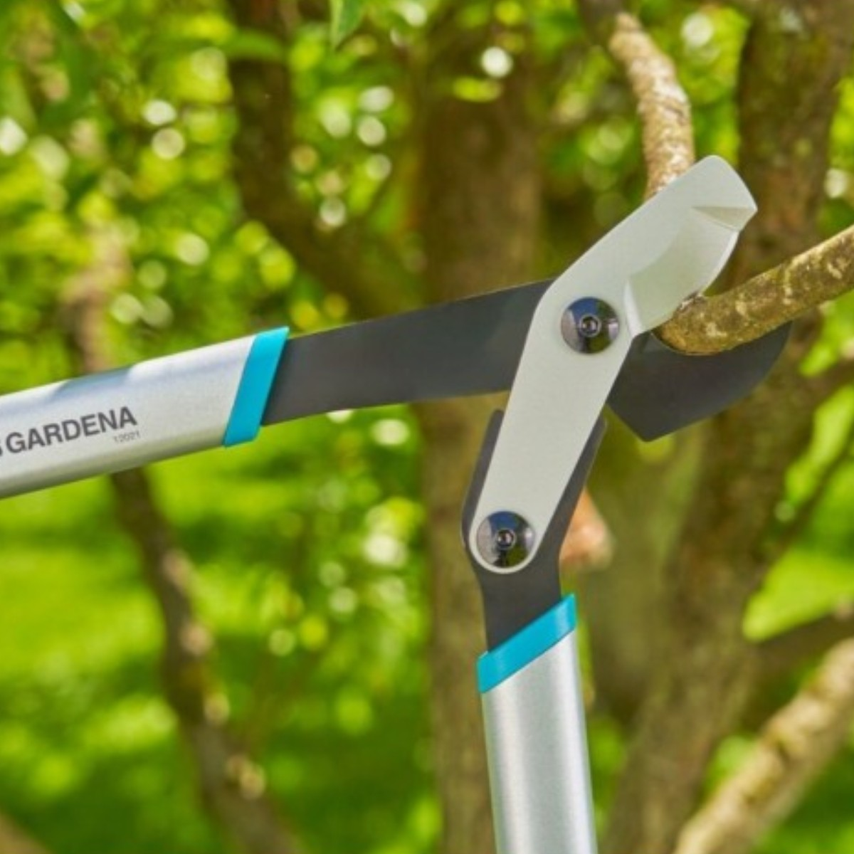 Forbici da giardinaggio tagliano ramo. Manici argentati con accenti blu. Sfondo verde.