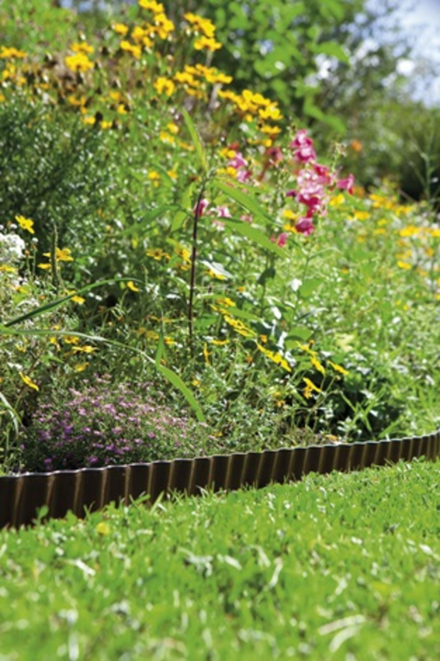 Un giardino con erba, bordo marrone e fiori colorati.