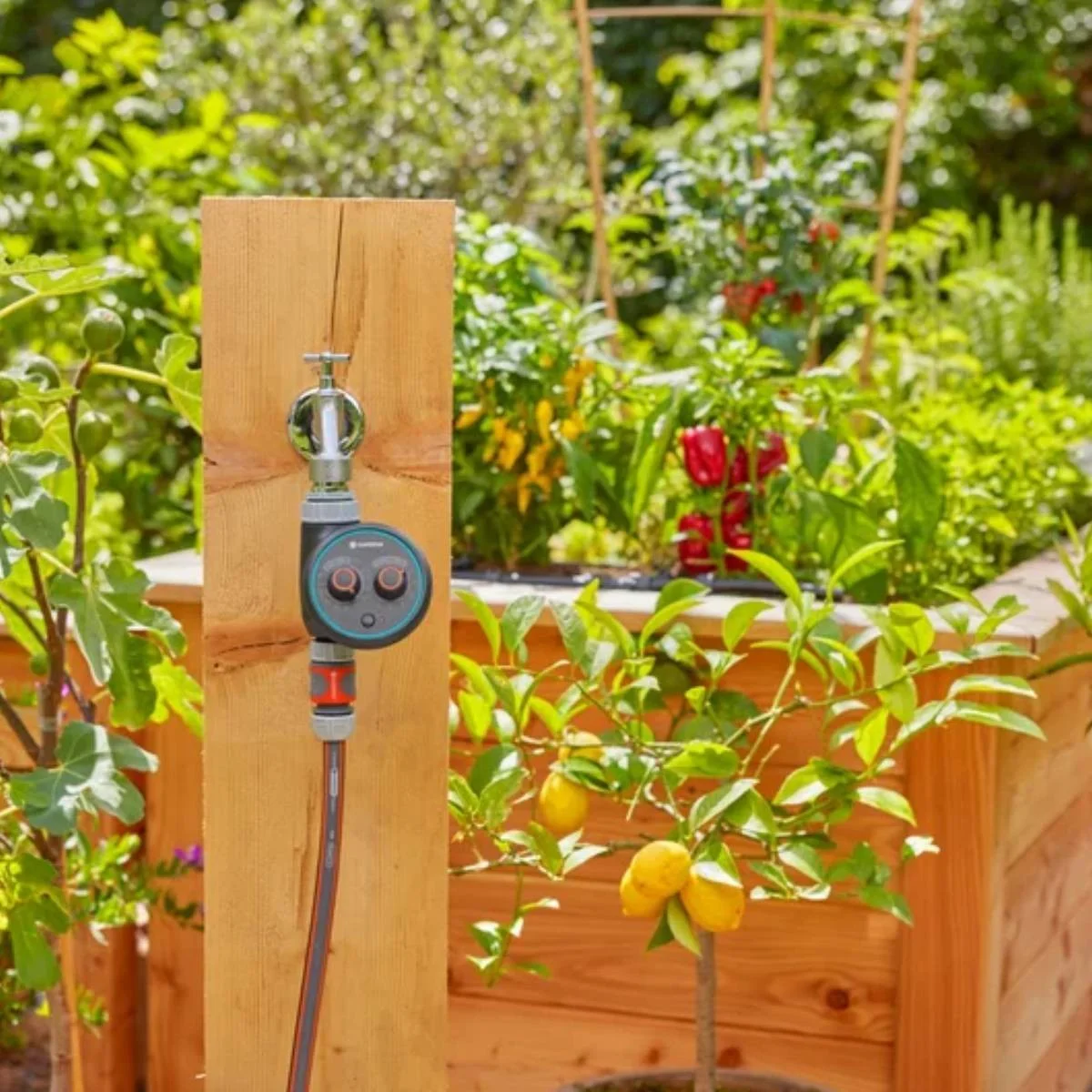 Un rubinetto con timer su un palo di legno accanto a un'aiuola rialzata con piante.