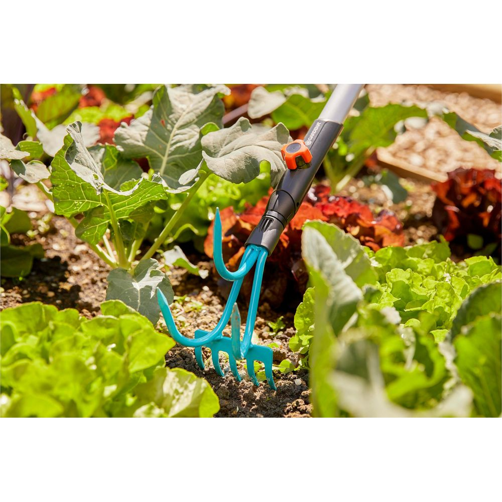 Un coltivatore manuale blu con manico in un'aiuola di lattuga e cavoli.