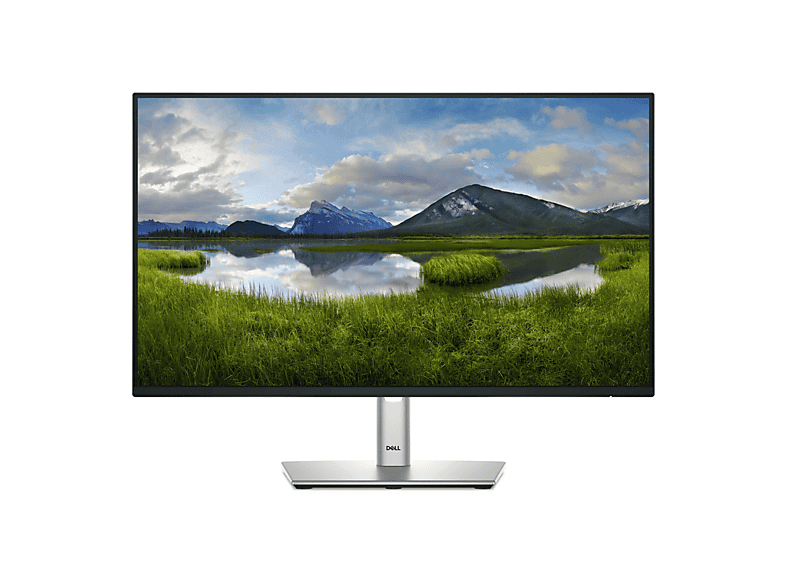 DELL P Series P2425H 23,8 inç Full-HD 5 ms 100 Hz Monitör Siyah