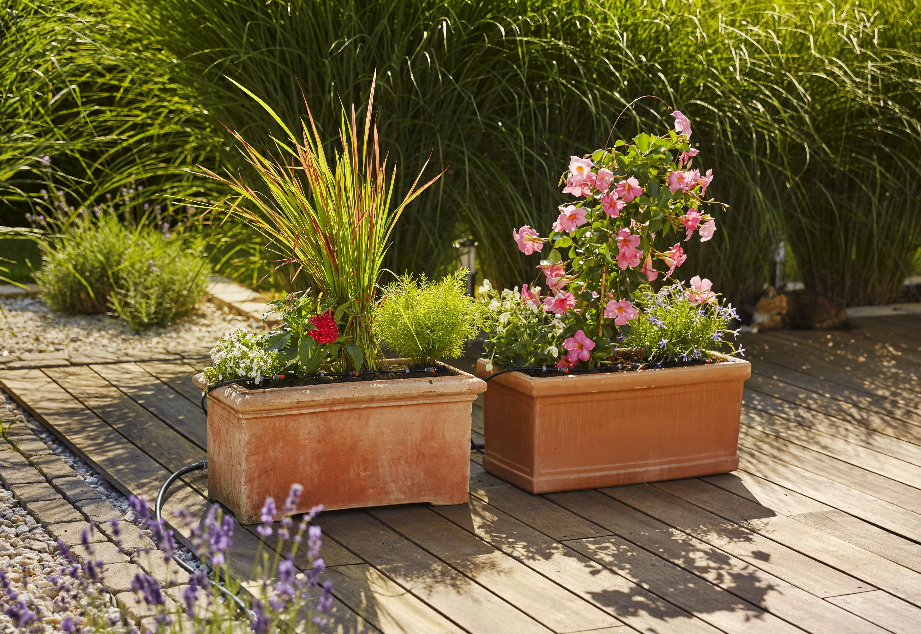 Due fioriere in terracotta con fiori ed erbe su una terrazza di legno.