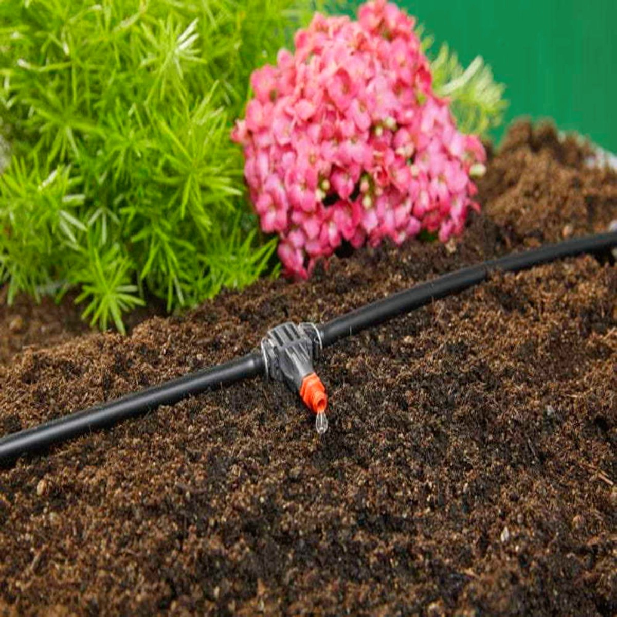 Un tubo nero per irrigazione a goccia con un gocciolatore che annaffia il terreno umido.