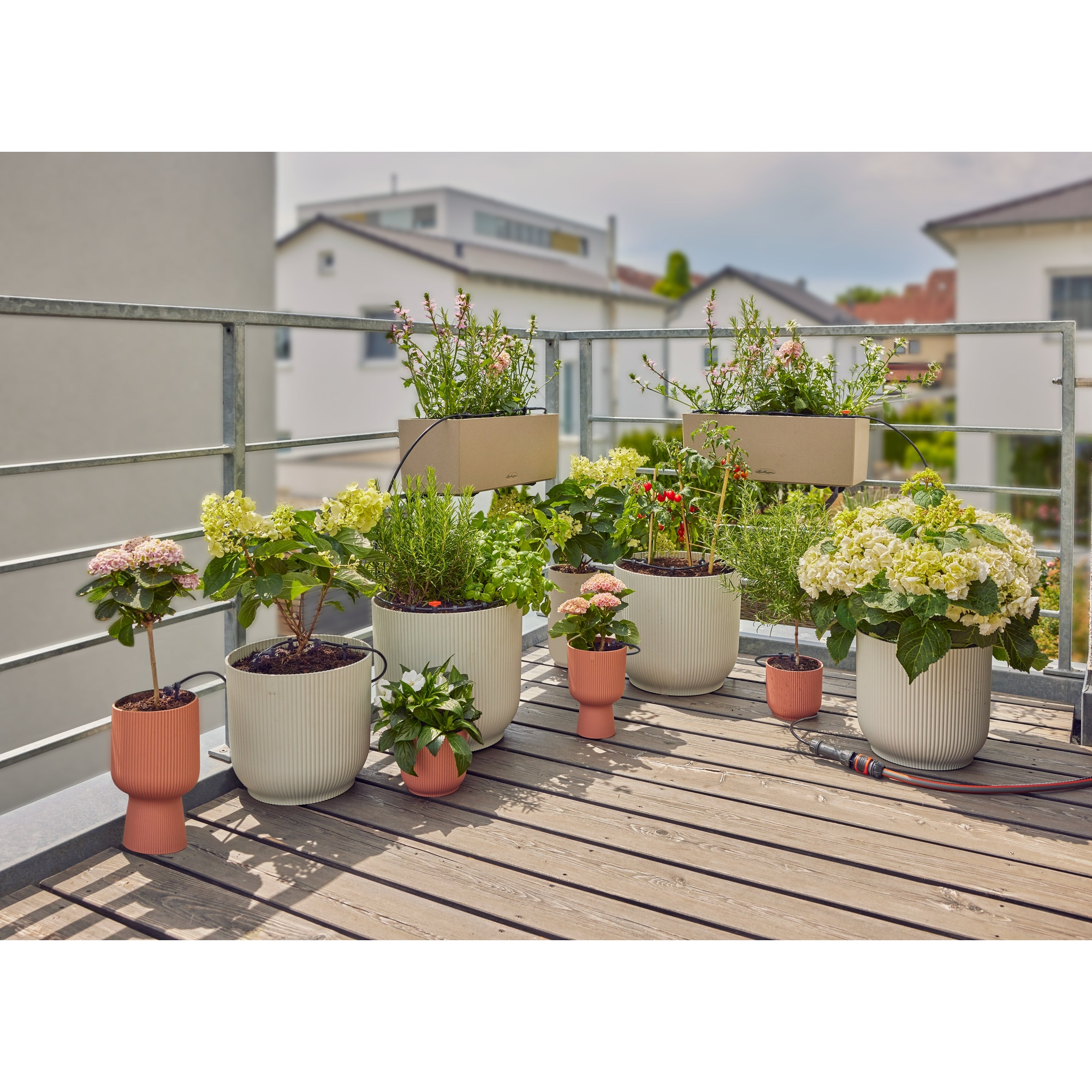 Balcone con varie piante in vaso, pavimento in legno e ringhiera.