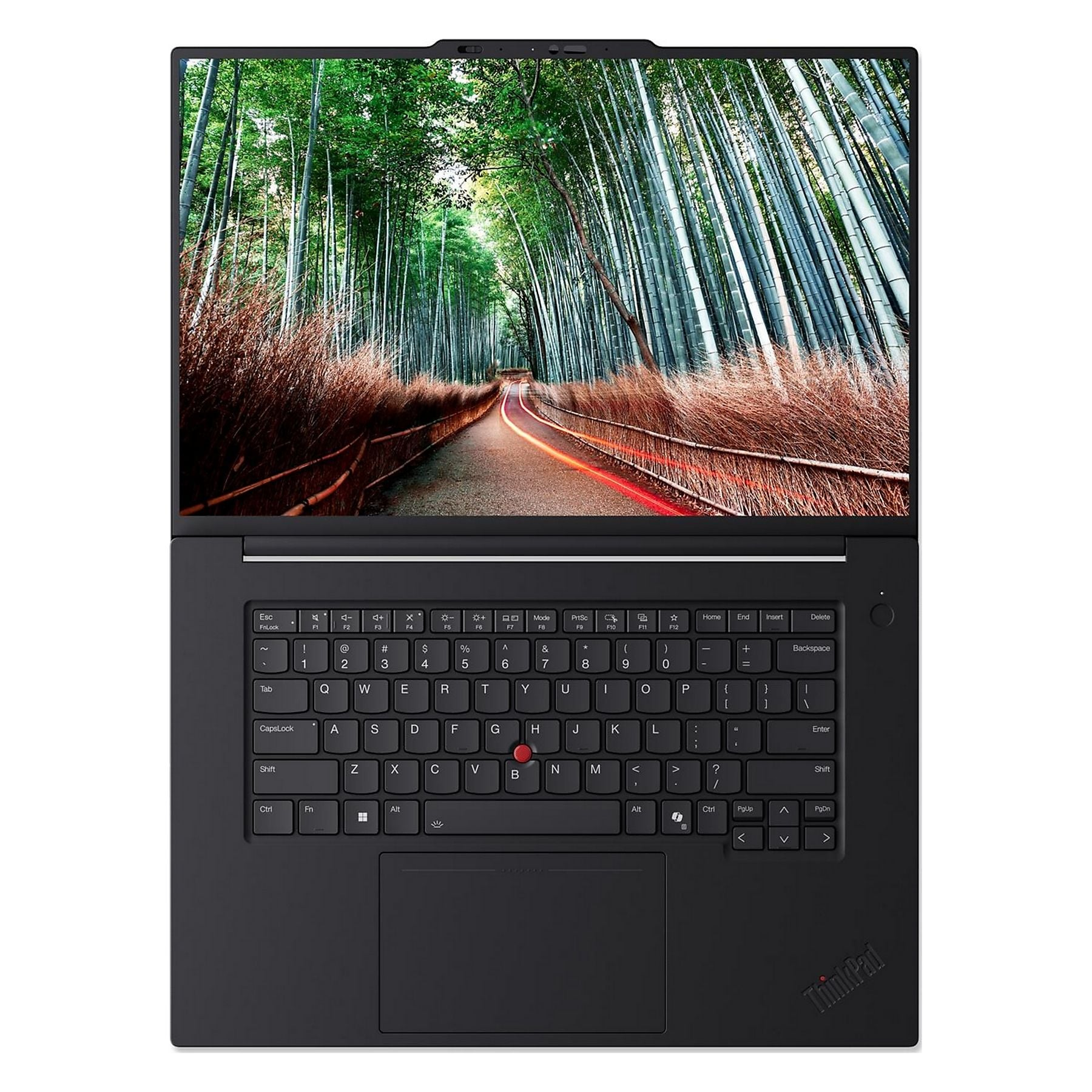 Schermo del laptop mostra una strada attraverso foresta di bambù con scie luminose.