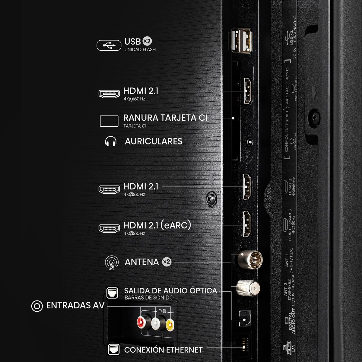 Pannello connessioni TV con ingressi USB, HDMI, Antenna e AV.