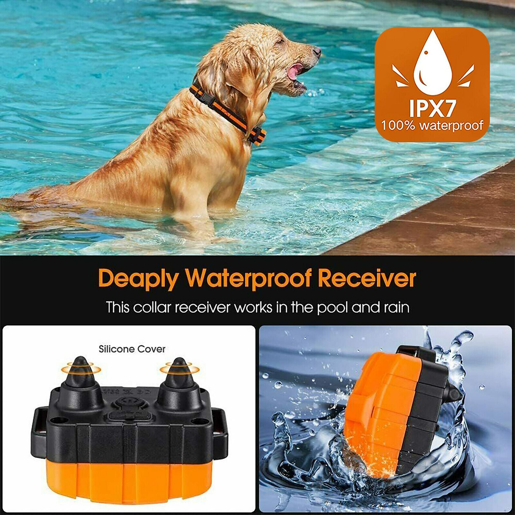 Ein Hund im Pool mit einem IPX7 wasserdichten Halsbandempfänger.