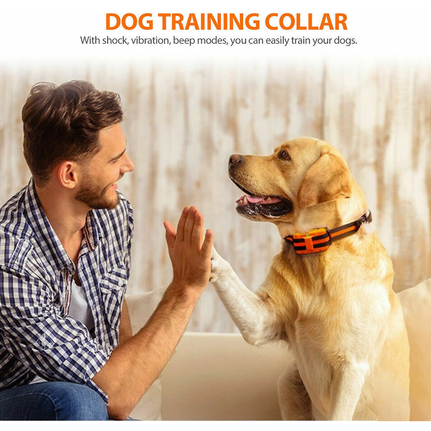 Ein Mann gibt einem Hund, der drinnen ein Trainingshalsband trägt, einen High-Five.