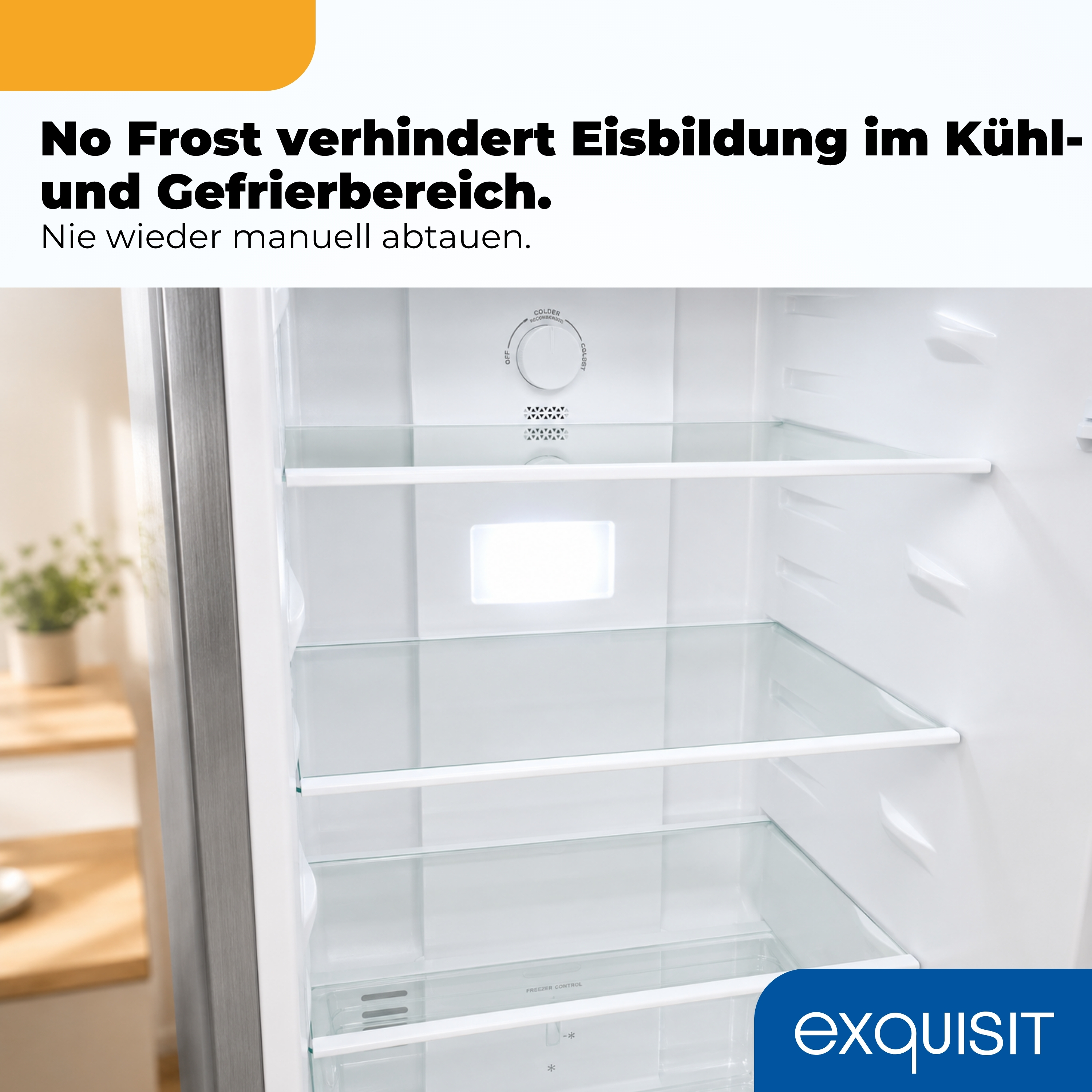 Leerer Kühlschrank mit Glasböden, Temperaturregler und Licht. Logo unten rechts.